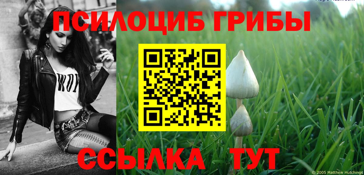 Миллерово  дарнет шоп  Вход с VPN  Галлюциногенные грибы прущие грибы 