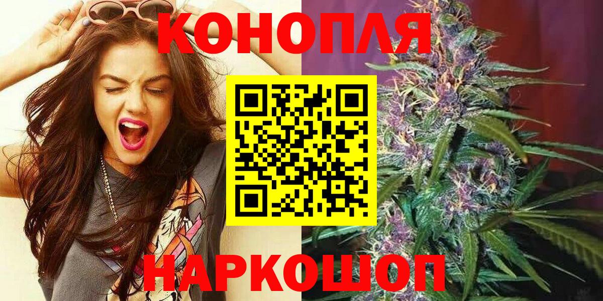 Конопля сатива Миллерово